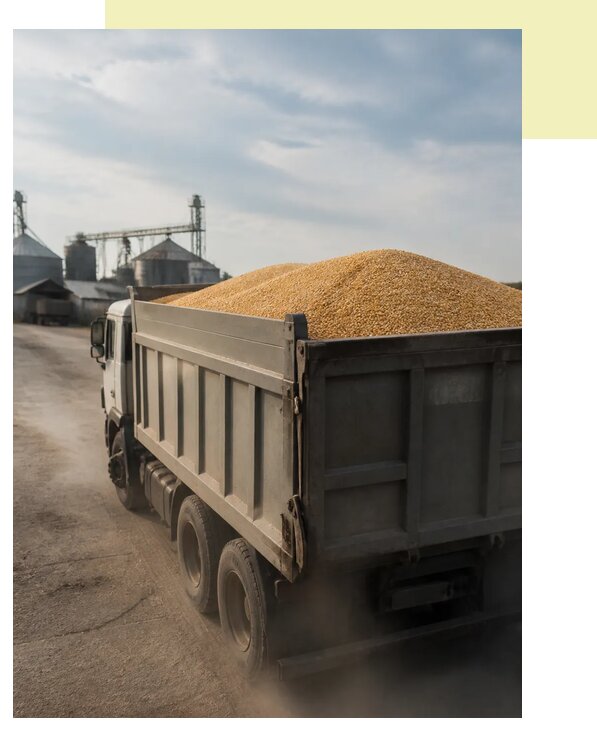 Перевозка сельхозпродукции навалом в Лениногорск по цене от 3096 р. | Агросервис-Лнр